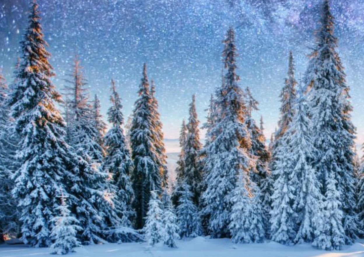 Betriebsferien über die Weihnachtstage 2025